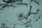 resIMG_20140617_185006_2533.JPG